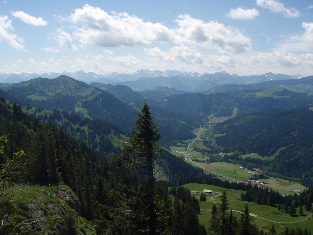 Alpenroesle Apartment Balderschwang Bagian luar foto