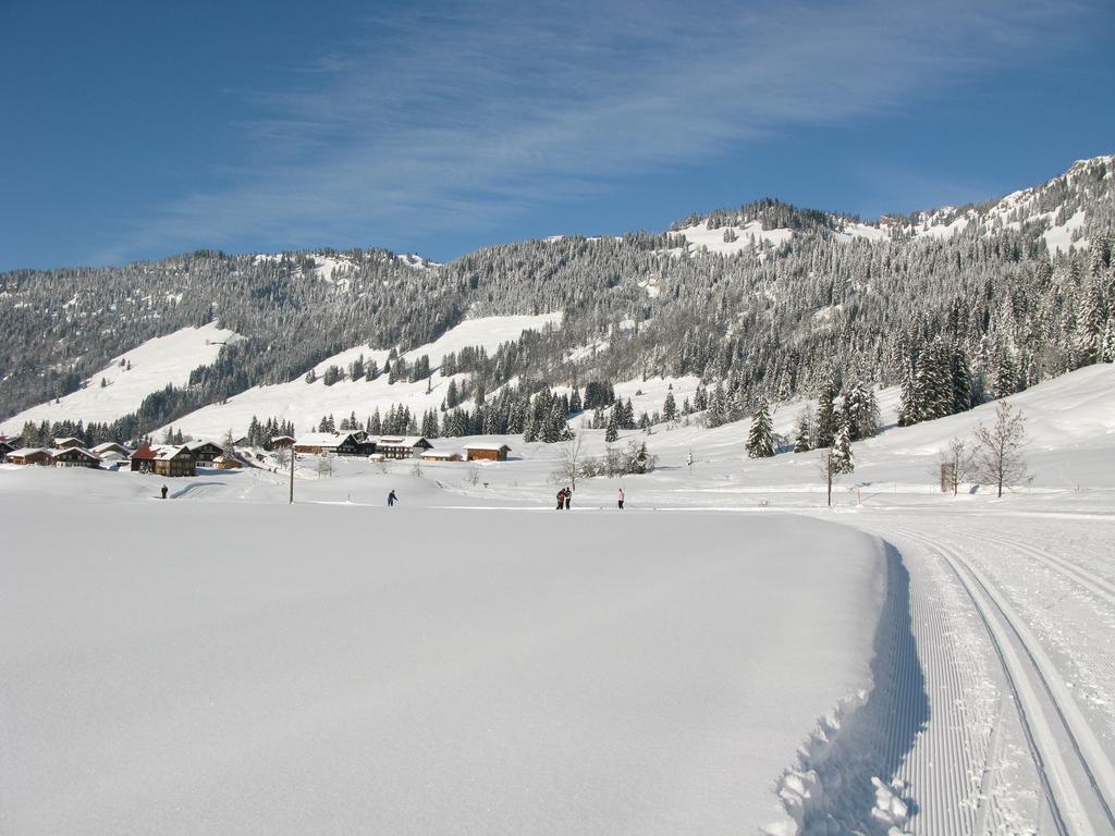 Alpenroesle Apartment Balderschwang Bagian luar foto